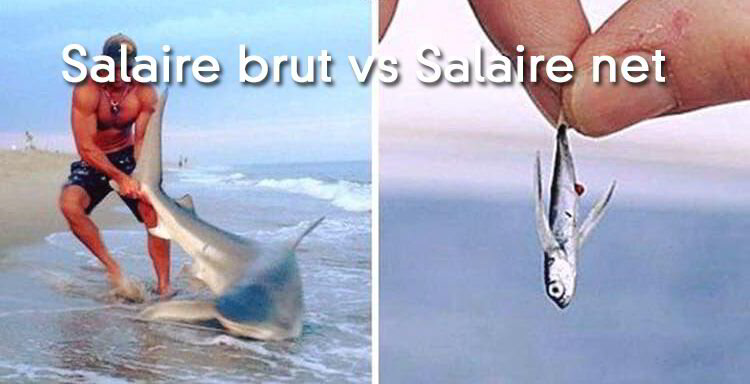 Comment calculer le salaire net à partir du salaire brut ?